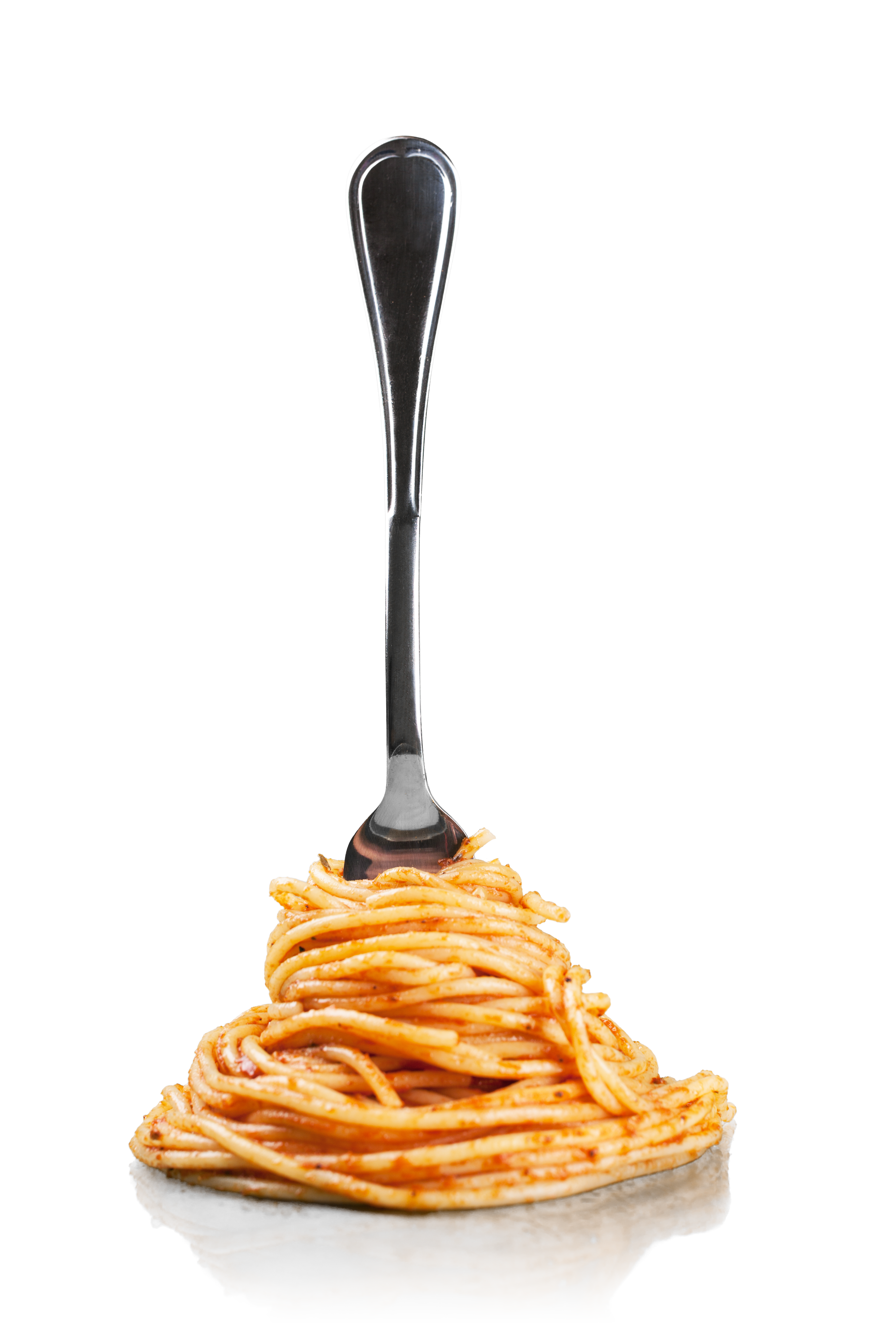 spaghetti wrapped around a fork